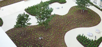 aerial photo of community garden