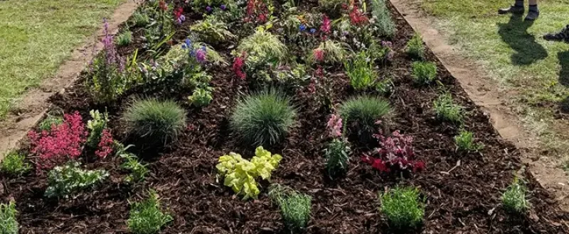 deeping planting flowers