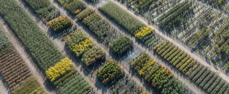 aerial photo of Coles plant nureries