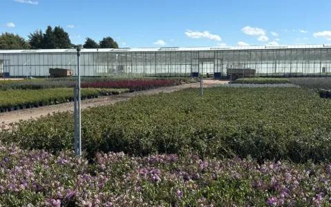 Coles Nurseries