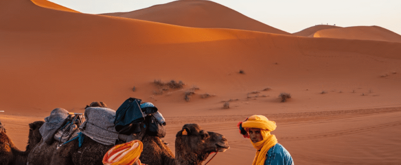 sahara photo